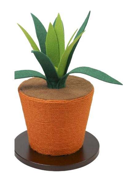 Tiragraffi Aloe Arancio 30x30x40 h . Tiragraffi