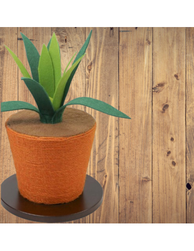 Tiragraffi Aloe Arancio 30x30x40 h . Tiragraffi