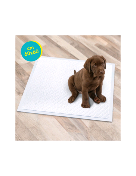Tappetini Assorbenti Tapiss 60x60 cm 10 pezzi . Igienici per cani .