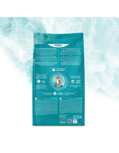 Forza 10 Mantenimento Pesce KG.12,5. Cibo Secco  Per Cani