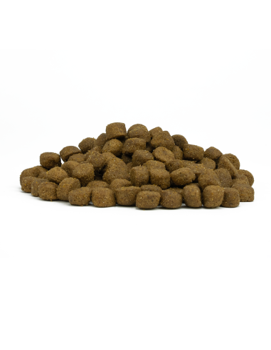 Forza 10 Mantenimento Maxi Pesce kg 12,5. Cibo Secco Per Cani