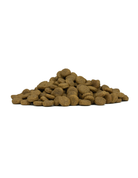 Forza 10 mantenimento Cervo e Patate Medium kg 12,5. Cibo Secco Per cani