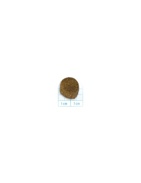 Forza 10 Mantenimento Maxi Cervo e Patate kg 12. Crocchette per cani .