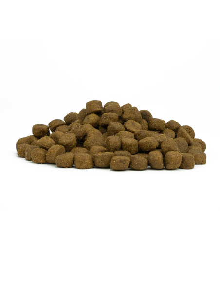 Forza 10 Mantenimento Maxi Cervo e Patate kg 12. Crocchette per cani .