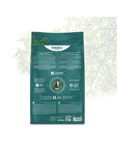 Forza 10 Mantenimento Maxi Cervo e Patate kg 12. Crocchette per cani .