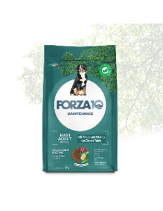 Forza 10 Mantenimento Maxi Cervo e Patate kg 12. Crocchette per cani .