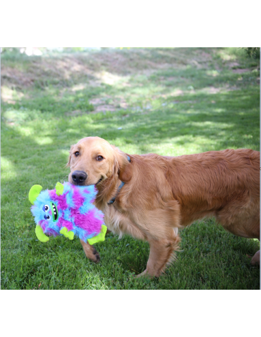 Kong Frizzles Razzle Medium. Giochi Per Cani .