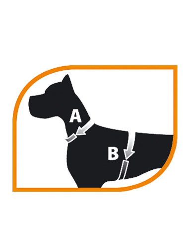 Pettorina Nikita Puppy mis.S colori vari. Guinzagli e collari