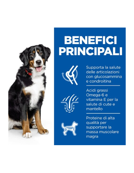 Hill's Canine Large Breed Pollo Adult kg 14. Crocchette Per Cani .