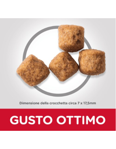 Hill's Canine Mature Senior Large Breed kg 12. Crocchette per cani