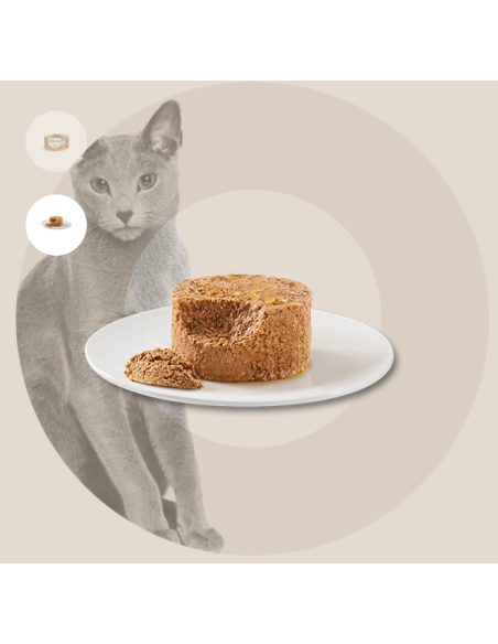 Oasy Caprice Mousse Tacchino gr 85. Cibo Umido Per Gatti