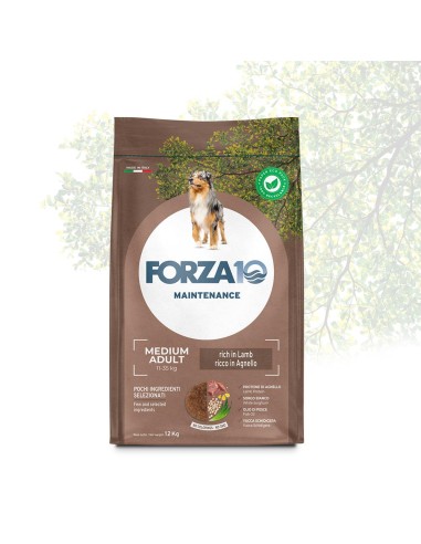 Forza 10 Mantenimento Agnello e Riso kg 12,5. Cibo Secco Per Cani