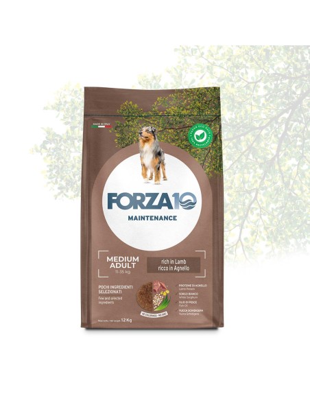 Forza 10 Mantenimento Agnello e Riso kg 12,5. Cibo Secco Per Cani