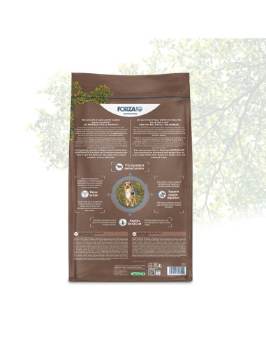 Forza 10 Mantenimento Agnello e Riso kg 12,5. Cibo Secco Per Cani