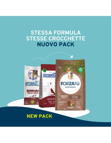 Forza 10 Mantenimento Agnello e Riso kg 12,5. Cibo Secco Per Cani