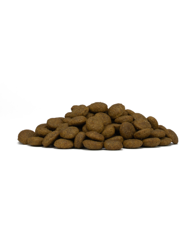 Forza 10 Medium Diet Cervo Patate kg 12. Diete . Cibo secco per cani