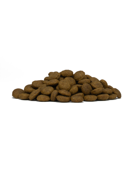 Forza 10 Medium Diet Cervo Patate kg 12. Diete . Cibo secco per cani