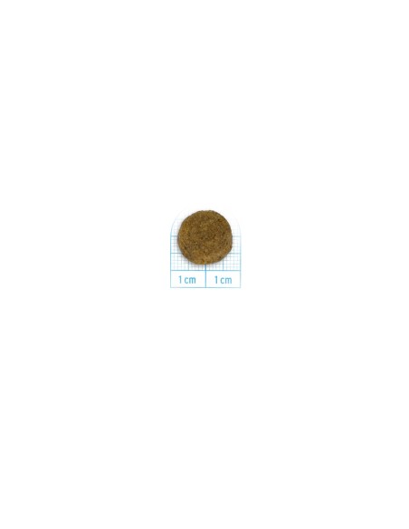 Forza 10 Medium Diet Cervo Patate kg 12. Diete . Cibo secco per cani