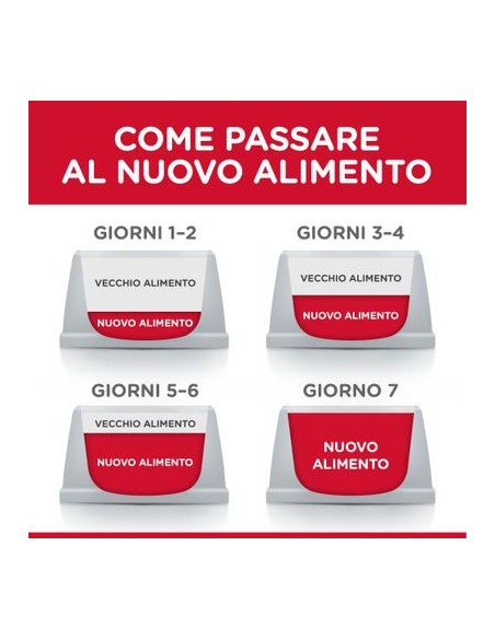 offerta Hill's Canine Mantenimento Lamb and Rice kg 14. Crocchette per cani