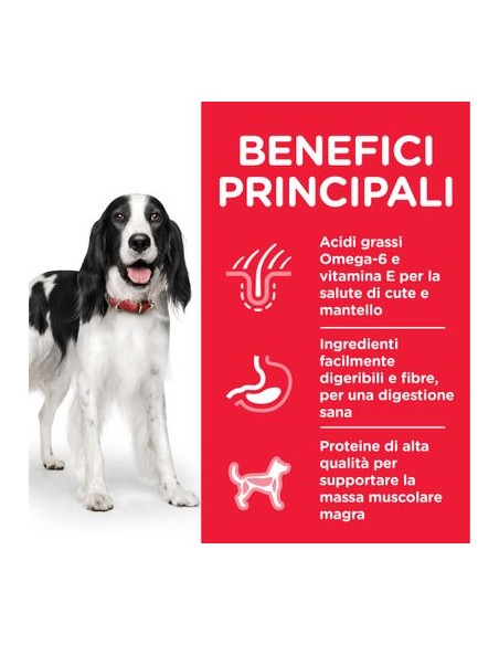 offerta Hill's Canine Mantenimento Lamb and Rice kg 14. Crocchette per cani