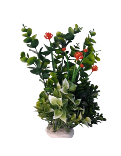 Pianta Dekor Siepe. Decorazioni Per Acquari