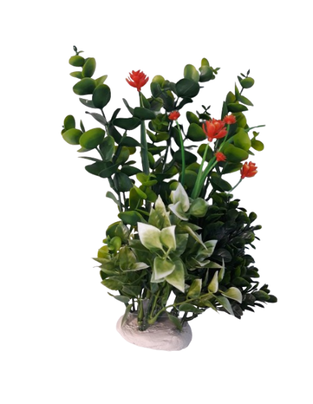 Pianta Dekor Siepe. Decorazioni Per Acquari
