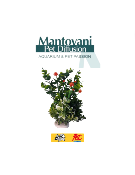 Pianta Dekor Siepe. Decorazioni Per Acquari