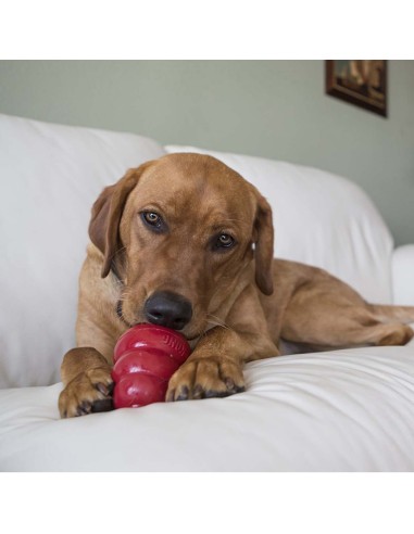 Kong Snack Bacon e Formaggio gr 198. Snack Per Cani