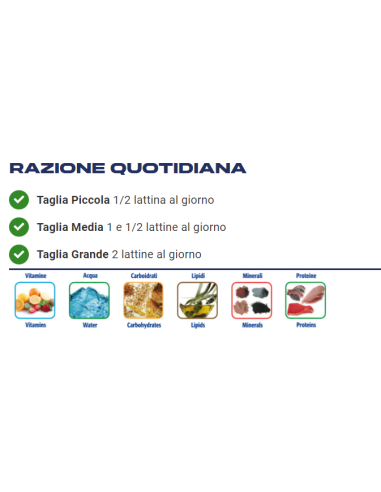 LIFE Natural Dog Complete Menù con Agnello 400gr. Cibo Umido per Cani .