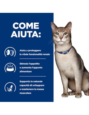 Hill's Feline K/D Kg.3 Pollo.Diete . Cibo Secco Per gatti .