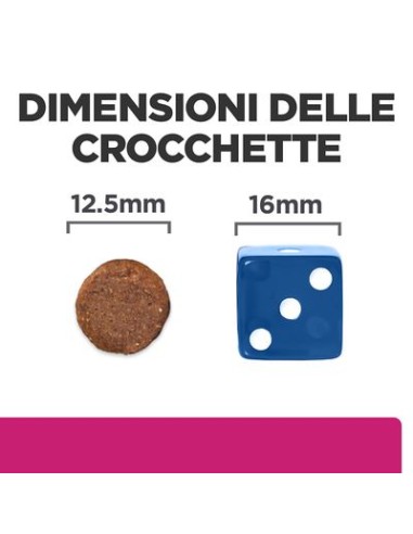 Hill's Canine Gastrointestinal Biome kg 4. Diete . Cibo Secco Per Cani .