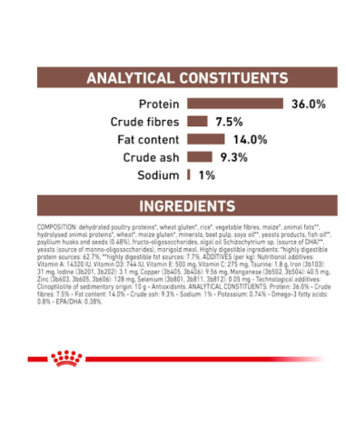 Gastrointestinal Hairball Cat Gr.400Royal Canin. Diete . cibo Secco Per Gatti.