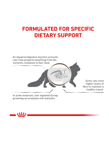Gastrointestinal Hairball Cat KG 2 Royal Canin. Diete . cibo Secco Per Gatti.
