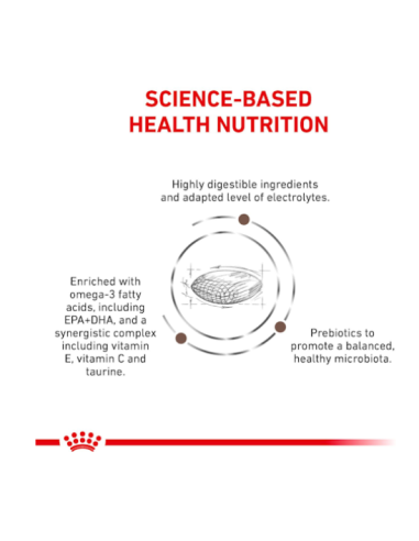 Gastrointestinal Hairball Cat KG 2 Royal Canin. Diete . cibo Secco Per Gatti.