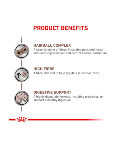 Gastrointestinal Hairball Cat KG 2 Royal Canin. Diete . cibo Secco Per Gatti.