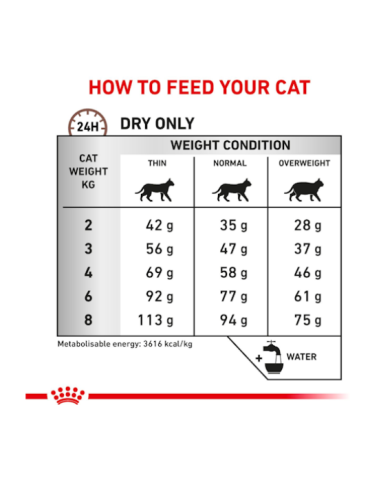 Gastrointestinal Hairball Cat KG 2 Royal Canin. Diete . cibo Secco Per Gatti.