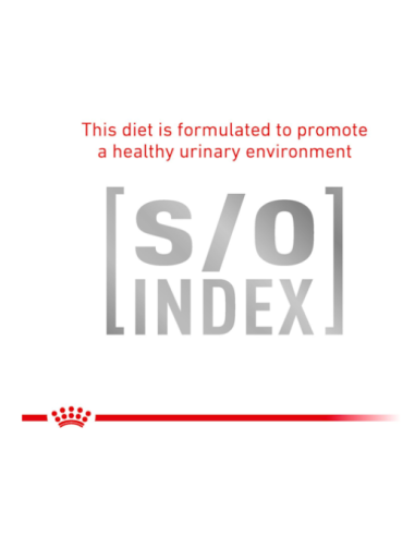 Gastrointestinal Hairball Cat KG 2 Royal Canin. Diete . cibo Secco Per Gatti.