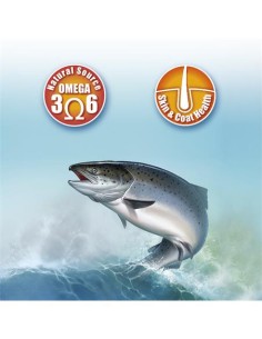 Arquivet Olio Di Salmone Scozzese per Cani e Gatti  1 LT. Integratori per cani e gatti 2