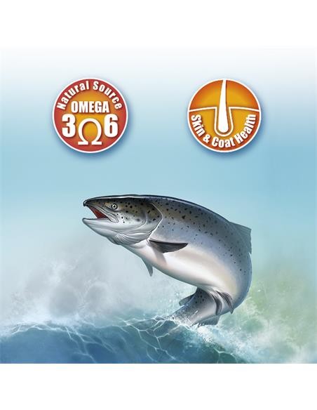 Arquivet Olio Di Salmone Scozzese per Cani e Gatti  1 LT. Integratori per cani e gatti