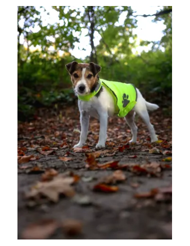 Gilet di Sicurezza refi misura media . Abbigliamento per cani.
