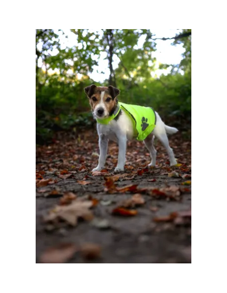 Gilet di Sicurezza refi misura media . Abbigliamento per cani.