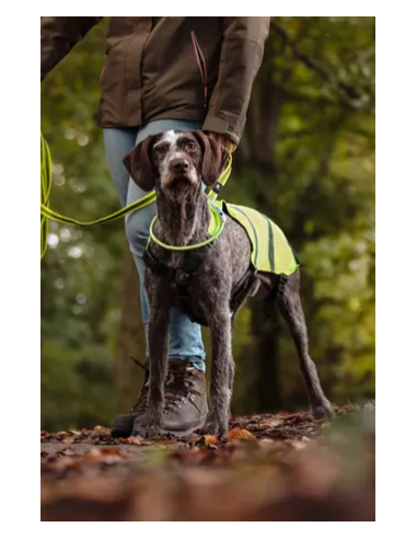 Gilet di Sicurezza Wasyl misura xl. Abbigliamento