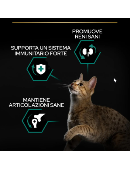 PRO PLAN CAT ADULT POLLO ORIGINAL renal plus  GR.400