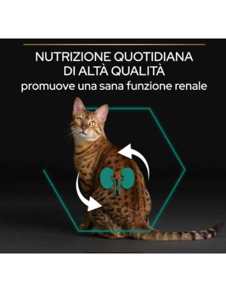 PRO PLAN CAT ADULT POLLO ORIGINAL renal plus  GR.400