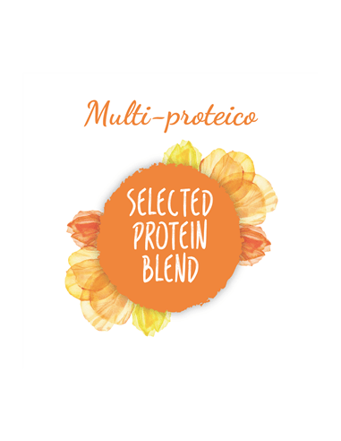 Aldog Mantenimento Med/Large kg.3. Crocchette per cani