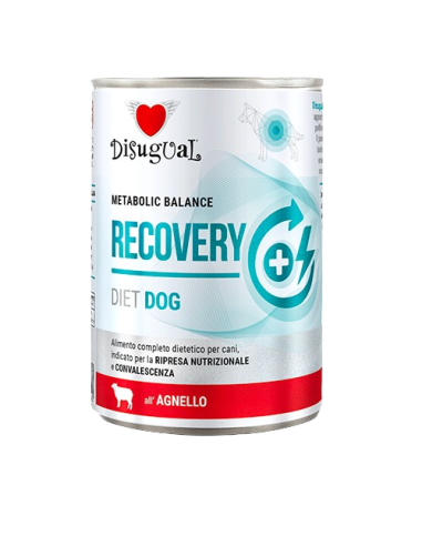 Disugual Diet Cane Recovery Agnello gr 400. Diete . Cibo Umido Per Cani .