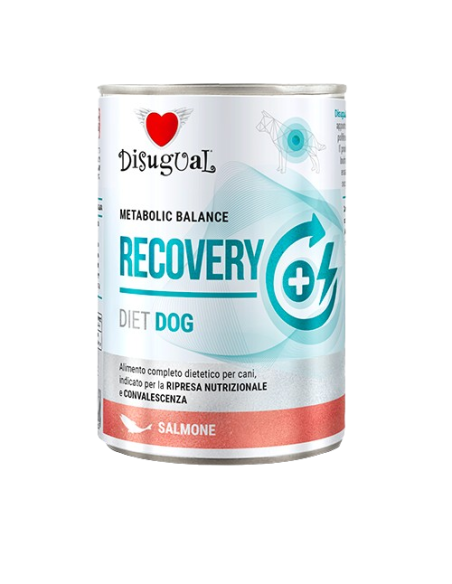 Disugual Diet Cane Recovery Salmone gr 400. Diete . Cibo Umido per cani