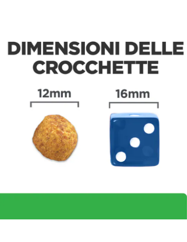Hill's Canine R/d KG 10. Diete . Cibo Secco Per Cani