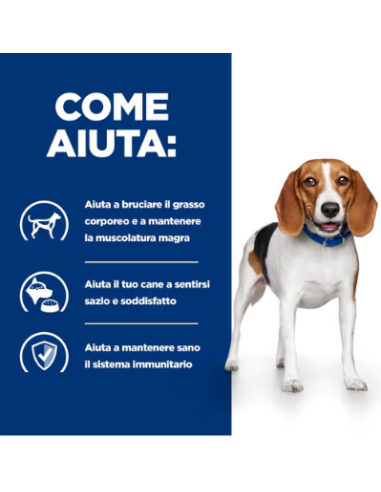 Hill's Canine R/d KG 10. Diete . Cibo Secco Per Cani