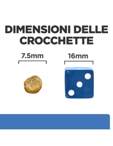 Hill's Canine Derm Complete Mini  Skin care & Food Sensivities Kg.1. Diete - Cibo Secco Per Cani